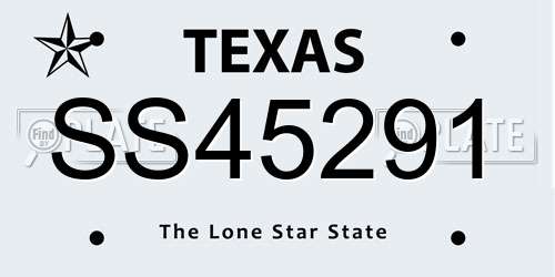 SS45291 Texas License Plate