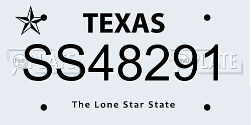 SS48291 Texas License Plate