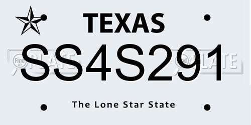 SS4S291 Texas License Plate