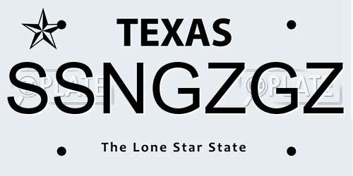 SSNGZGZ Texas License Plate