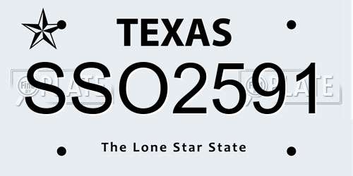 SSO2591 Texas License Plate