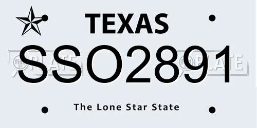 SSO2891 Texas License Plate