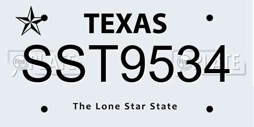 SST9534 Texas License Plate