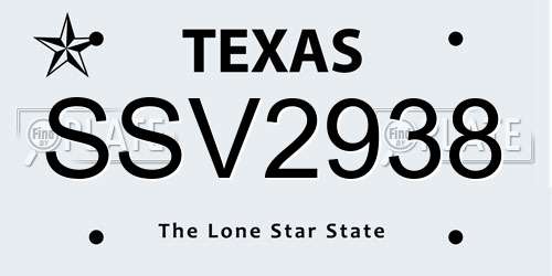 SSV2938 Texas License Plate