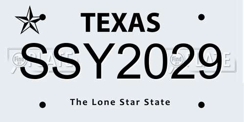 SSY2029 Texas License Plate