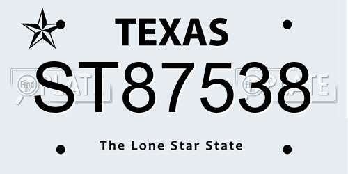 ST87538 Texas License Plate