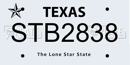 STB2838 Texas License Plate