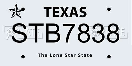 STB7838 Texas License Plate