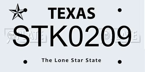 STK0209 Texas License Plate