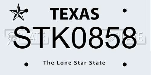 STK0858 Texas License Plate