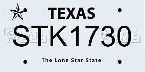 STK1730 Texas License Plate