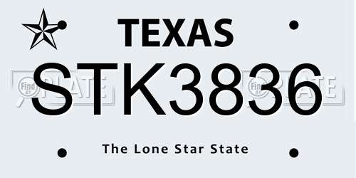 STK3836 Texas License Plate
