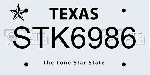 STK6986 Texas License Plate