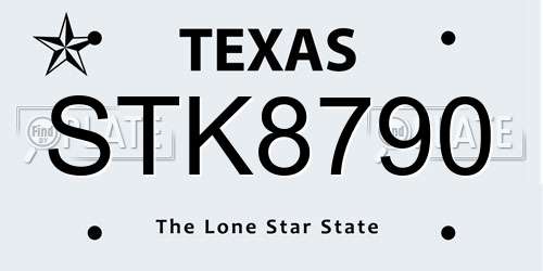 STK8790 Texas License Plate