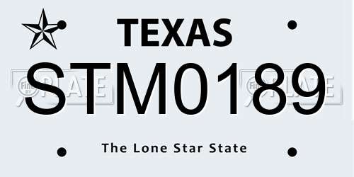 STM0189 Texas License Plate