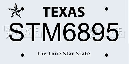STM6895 Texas License Plate