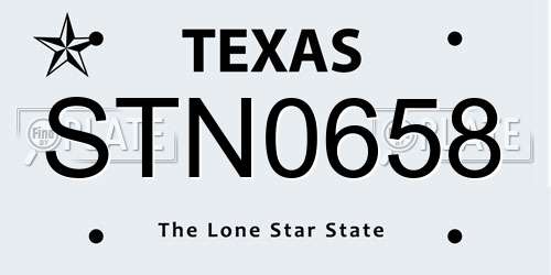 STN0658 Texas License Plate