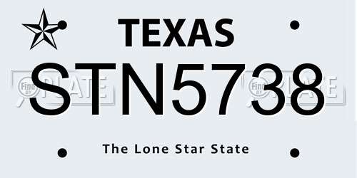 STN5738 Texas License Plate