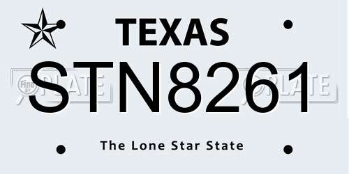 STN8261 Texas License Plate