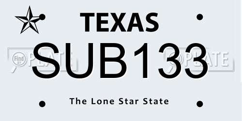 SUB133 Texas License Plate