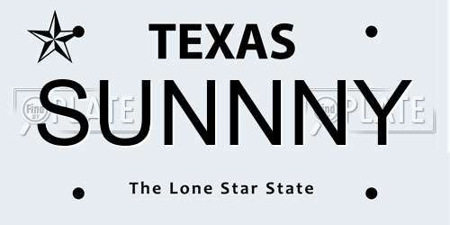 SUNNNY Texas License Plate