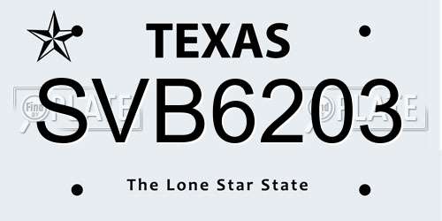 SVB6203 Texas License Plate