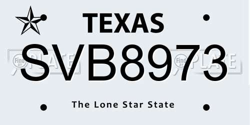 SVB8973 Texas License Plate