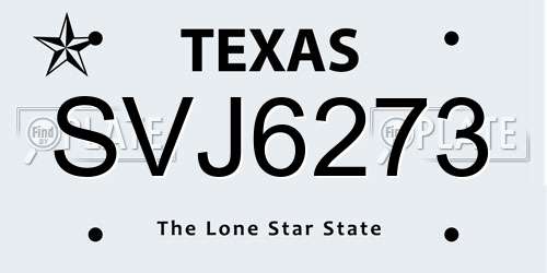 SVJ6273 Texas License Plate