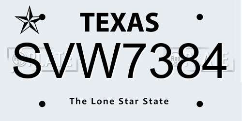 SVW7384 Texas License Plate