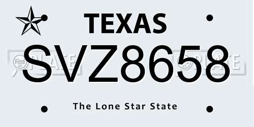 SVZ8658 Texas License Plate