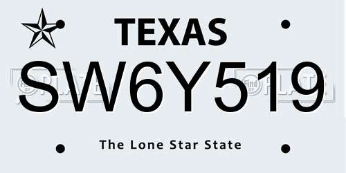 SW6Y519 Texas License Plate