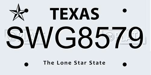 SWG8579 Texas License Plate