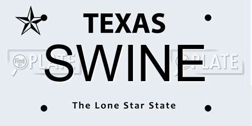 SWINE Texas License Plate