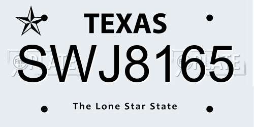 SWJ8165 Texas License Plate
