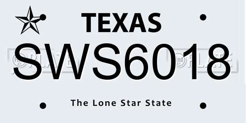 SWS6018 Texas License Plate