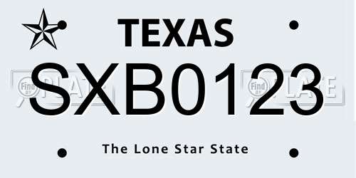 SXB0123 Texas License Plate