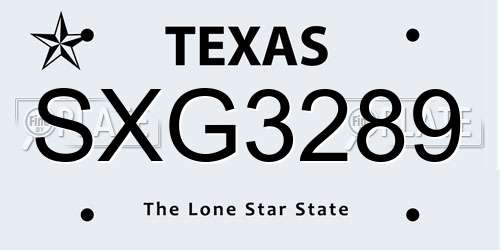 SXG3289 Texas License Plate