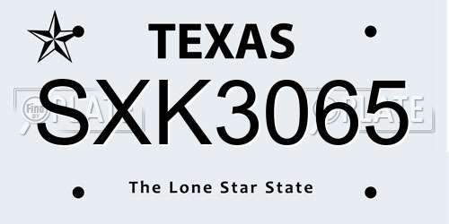 SXK3065 Texas License Plate