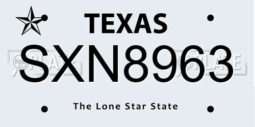 SXN8963 Texas License Plate