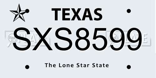 SXS8599 Texas License Plate