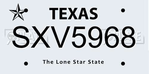 SXV5968 Texas License Plate