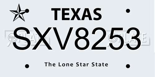 SXV8253 Texas License Plate