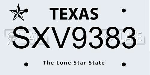 SXV9383 Texas License Plate