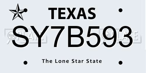 SY7B593 Texas License Plate