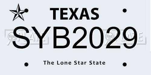 SYB2029 Texas License Plate