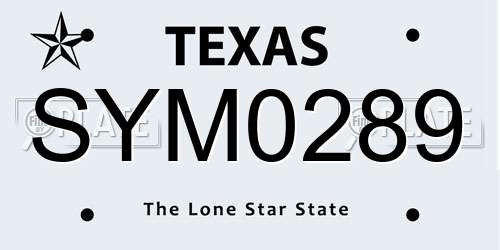 SYM0289 Texas License Plate