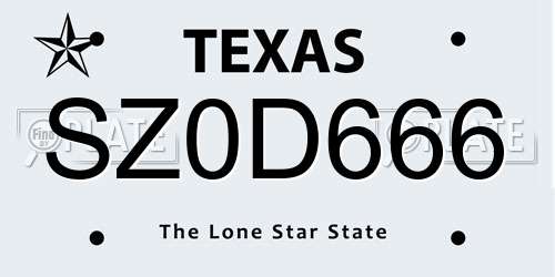 SZ0D666 Texas License Plate
