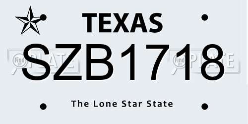SZB1718 Texas License Plate