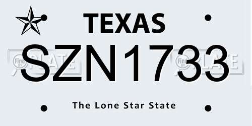 SZN1733 Texas License Plate