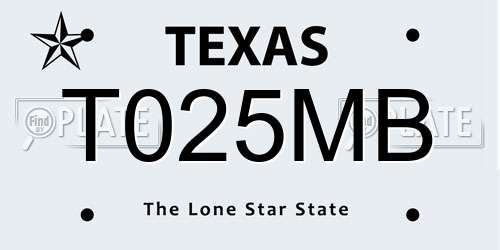 T025MB Texas License Plate